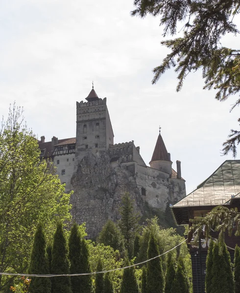 Вид Знаменитий Замок Бран Трансільванії Румунія — стокове фото