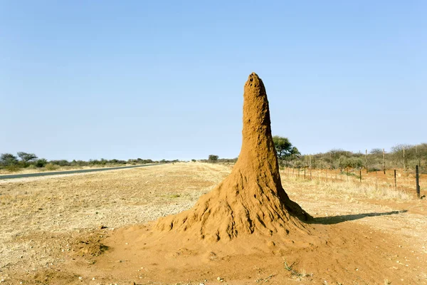 Termiet Heuvel Langs Een Straat Namibië — Stockfoto