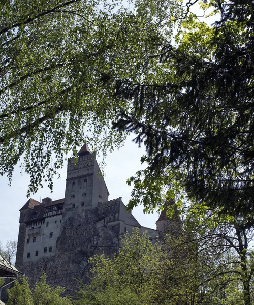 Vista Bran Famoso Castelo Transilvânia Roménia — Fotografia de Stock