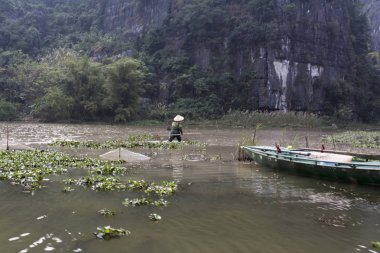 Ninh Binh, Vietnam - 30 Aralık 2016: Vietnam çiftçi alan çalışır. Manzara ve hedefleri Ninh Binh, Vietnam seyahat. 