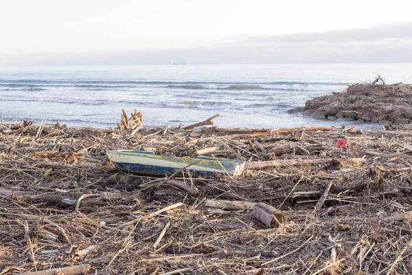 Sarzana Itálie Prosince 2017 Woods Odpady Přepravovány Moře Pláži Bouři — Stock fotografie