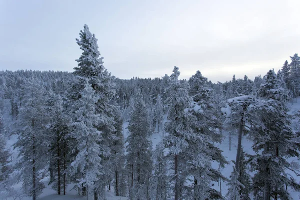 Lapland Vista Inverno Durante Noite Polar — Fotografia de Stock