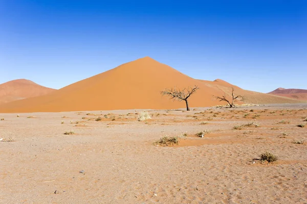 Hermosa Duna Roja Desierto Namibia — Foto de Stock