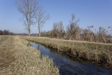 Roggia, Milano 'nun güneyinde Morimondo, İtalya' ya yakın.