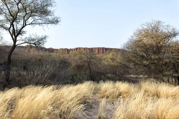 Vista Planalto Waterberg Namíbia Sul África — Fotografia de Stock