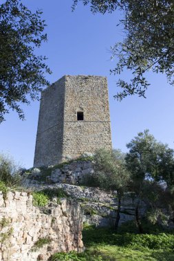 Sardinya casteldoria