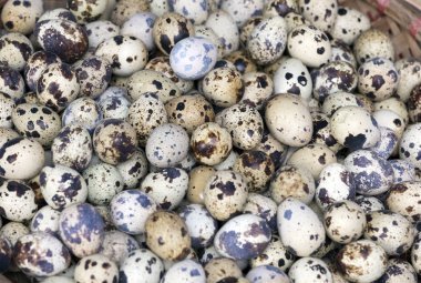 Pazarda bıldırcın yumurtası demeti