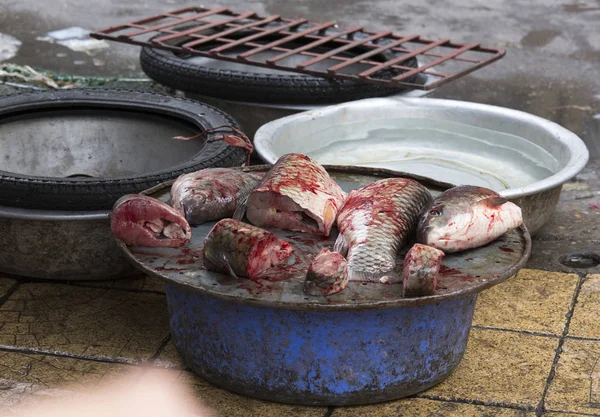 Fisk bitar på marknaden — Stockfoto