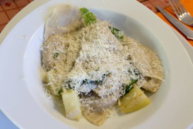 doldurulmuş makarna çeşitleri