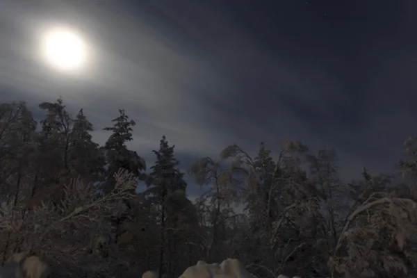 Frozen landscape during polar night in Saariselka