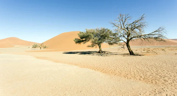 Hermosa duna roja en el desierto — Foto de Stock