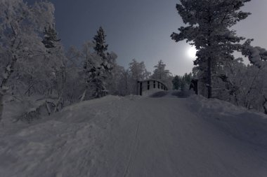 Kış aylarında lapland donmuş manzara