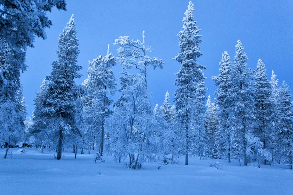 El paisaje helado de Laponia durante el invierno —  Fotos de Stock