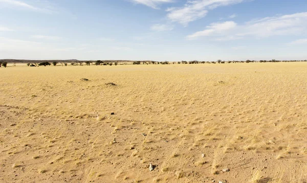 Překrásný pouštní pohled v Namibii. — Stock fotografie