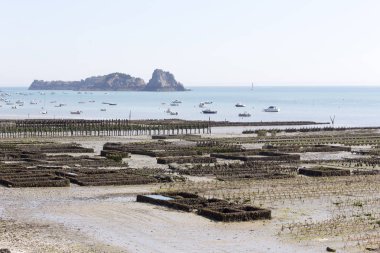 Cancal istiridye çiftliğinde düşük gelgit