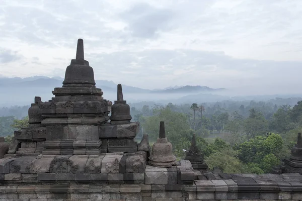 Borobudur tapınağında yürüyüş