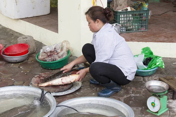 Žena krájí ryby na trhu v Hanoi — Stock fotografie