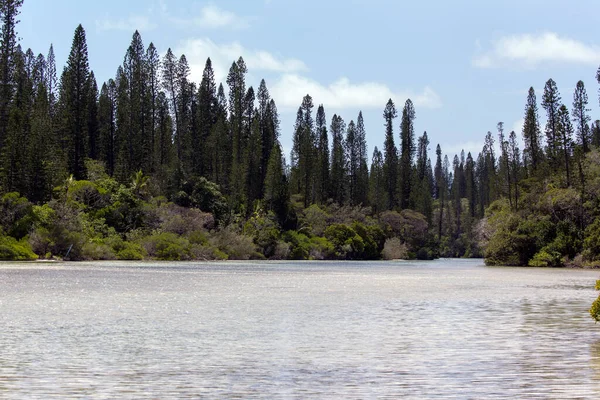 Vista Ile Des Pins Nueva Caledonia — Foto de Stock