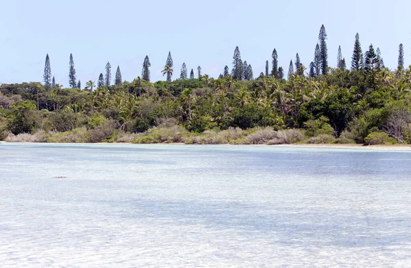 Utsikt Över Ile Des Pins Kaledonien — Stockfoto