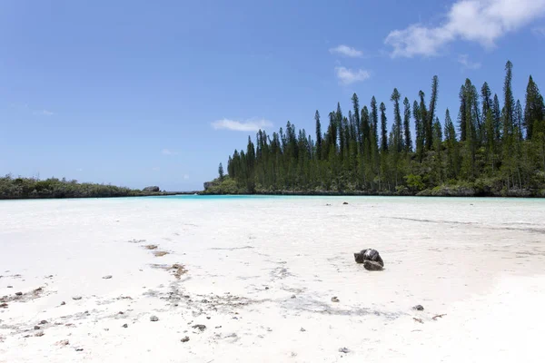 Piscina Natural Ile Des Pins Nueva Caledonia —  Fotos de Stock