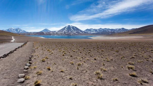 Der Naturpark Der Lagune Von Miscanti Chile — Stockfoto