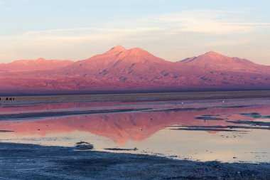 Şili 'nin kuzeyinde gün batımında Chaxa gölü
