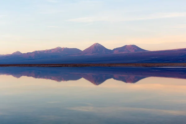 Laguna Chaxa Tramonto Nel Nord Del Cile — Foto Stock