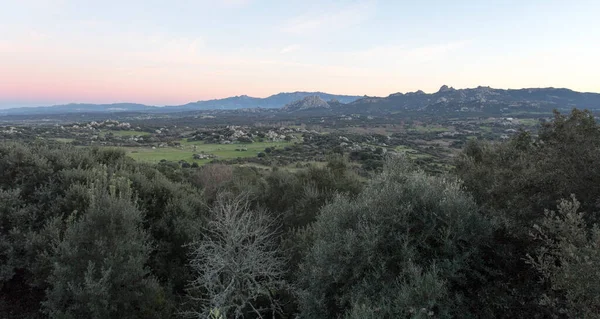 Veduta Del Paesaggio Durante Trekking Sardegna — Foto Stock