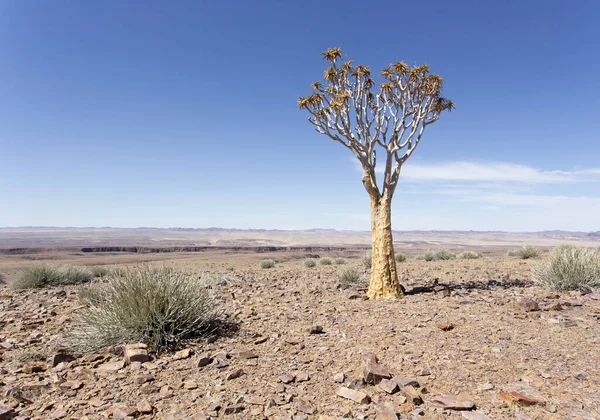 Pohled Toulce Poušti Namibie — Stock fotografie