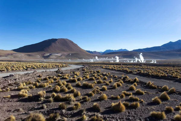 Пейзаж Области Гейзера Боливии — стоковое фото