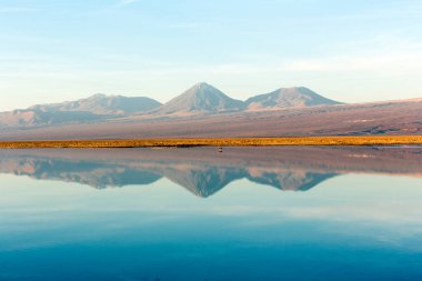 Şili 'nin kuzeyindeki Chaxa gölünün harika renkleri