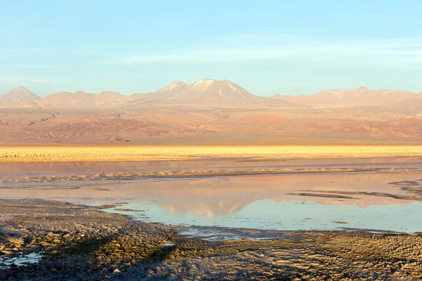 智利北部查萨湖的美丽色彩 — 图库照片