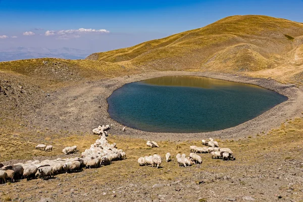 Vista Panorámica Del Lago Gistova Lago Alpino Más Alto Grecia — Foto de Stock