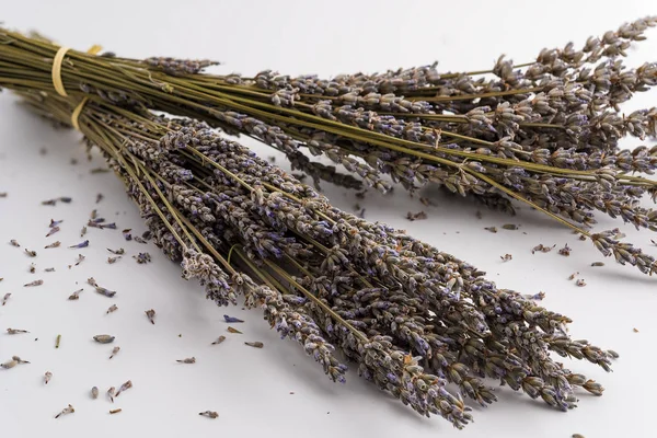 A branch of dried lavender on white background
