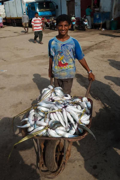Een Jongen Draagt Vis Mei 2007 Hudaydah Yemen Als Gevolg — Stockfoto