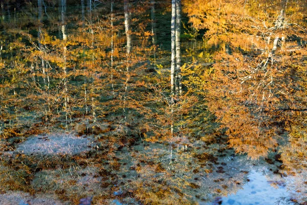 Reflexionen Wasser Der Arrenes Oder Moutsalia Alpine See Auf Grammos — Stockfoto