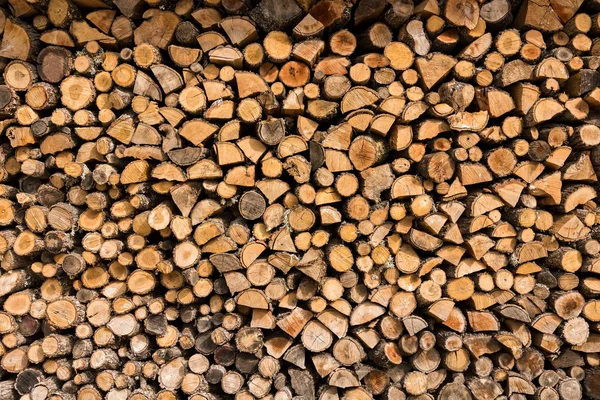 Freshly Cut Tree Logs Piled Greece — Stock Photo, Image