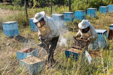 Özel koruyucu kıyafetlerini giymiş iki Arıcılar için bal kendi arı kovanı Yunanistan'daki Olimpos Dağı bölgesinde 21 Temmuz 2017 üzerinde incelemek