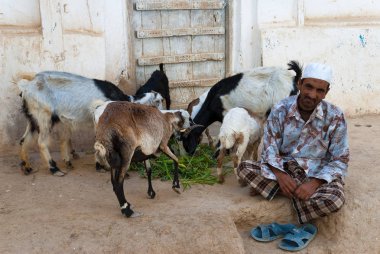Bir adam 8 Mayıs 2007 Şibam, Yemen keçileri beslenir. Diğer Arap ülkeleri arasında 2012 yılında Yemen sivil çatışmaların bir site oldu.