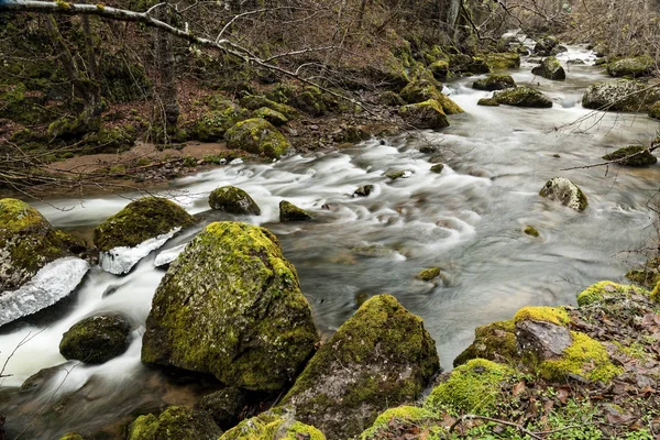 Moosbewachsene Felsen Fluss Devinska Bulgarien Winter — Stockfoto