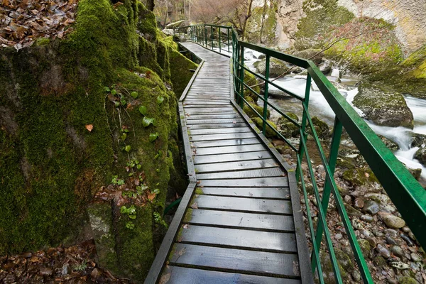 Ponte Escursionisti Nella Gola Del Fiume Devinska Bulgaria Durante Inverno — Foto Stock