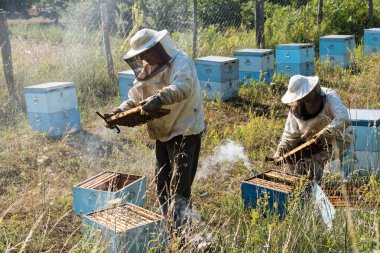 Özel koruyucu kıyafetlerini giymiş iki Arıcılar için bal kendi arı kovanı Yunanistan'daki Olimpos Dağı bölgesinde 21 Temmuz 2017 üzerinde incelemek