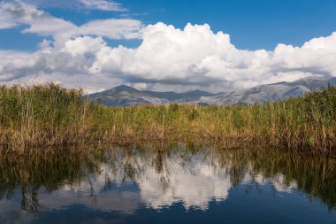 Kuzey Yunanistan'da Mikri (küçük) Prespa Gölü kıyısında görünümünü