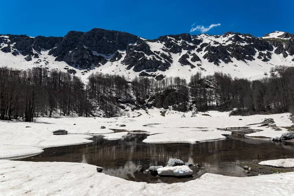 Winterlandschap Met Arrenes Moutsalia Alpine Meer Grammos Griekenland — Stockfoto