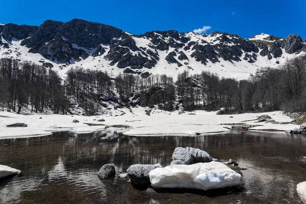 Vinterlandskap Med Arrenes Eller Moutsalia Alpina Sjön Grammos Grekland — Stockfoto