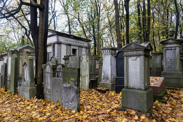Yahudi Mezarlığında Avrupa Ekim 2017 Yılında Varşova Polonya Nın Büyük — Stok fotoğraf