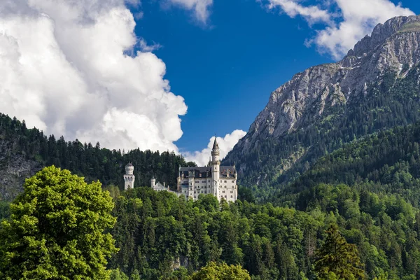 Vista Del Castillo Neuschwanstein Baviera Alemania —  Fotos de Stock