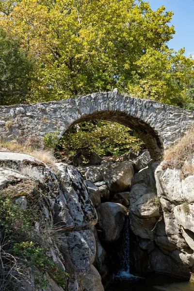 Vista Del Puente Piedra Tradicional Damaskinos Cerca Verdikoussa Tesalia Grecia — Foto de Stock