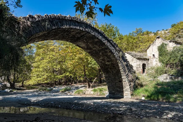 Widok Tradycyjny Kamienny Most Zrujnowane Młyn Wodny Pobliżu Elassona Tesalia — Zdjęcie stockowe