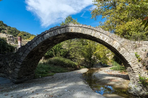 Pohled Tradiční Kamenný Most Poblíž Elassona Thessálii Řecko — Stock fotografie